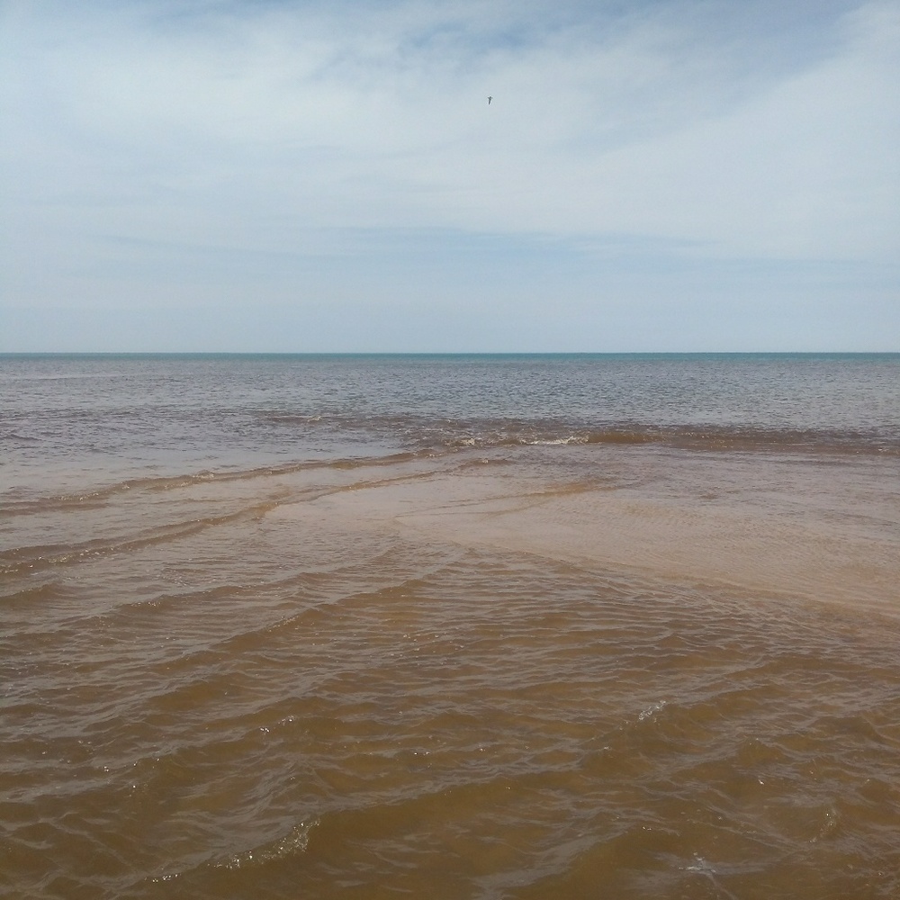 Bundles, offers and trades oh my!